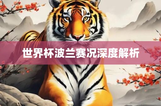 世界杯波兰赛况深度解析
