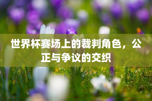 xinyu 第4页