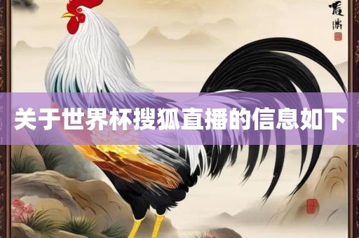 关于世界杯搜狐直播的信息如下