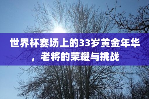 世界杯赛场上的33岁黄金年华，老将的荣耀与挑战