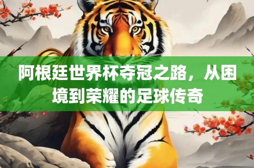 阿根廷世界杯夺冠之路，从困境到荣耀的足球传奇眉山市正发家政服务有限公司