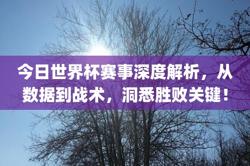 今日世界杯赛事深度解析，从数据到战术，洞悉胜败关键！