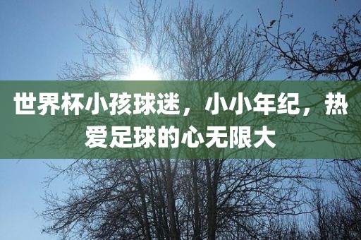 世界杯小孩球迷，小小年纪，热爱足球的心无限大