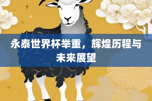 永泰世界杯举重，辉煌历程与未来展望