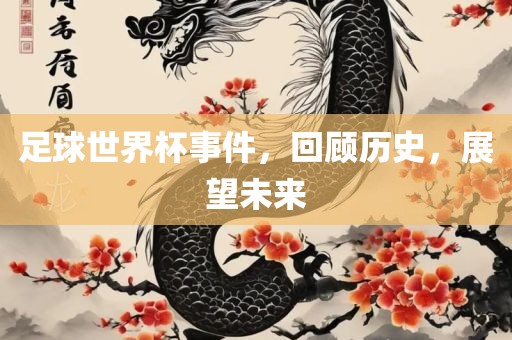 足球世界杯事件，回顾历史，展望未来