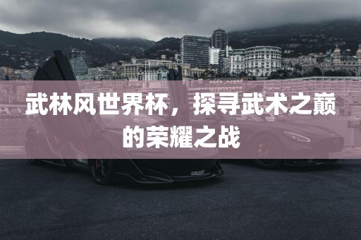 武林风世界杯，探寻武术之巅的荣耀之战