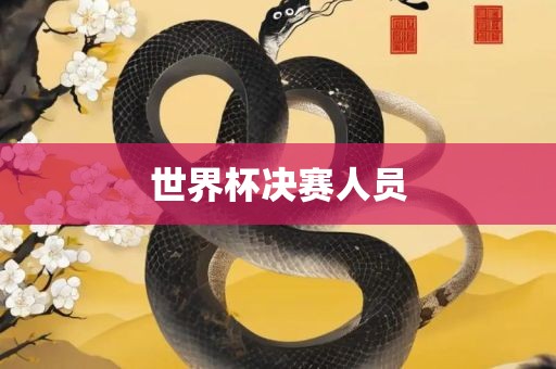 世界杯决赛人眉山市正发家政服务有限公司员