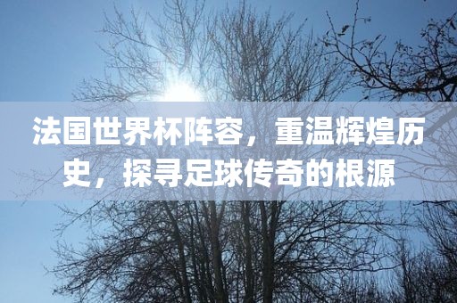 法国世界杯阵容，重温辉煌历史，探寻足球传奇的根源