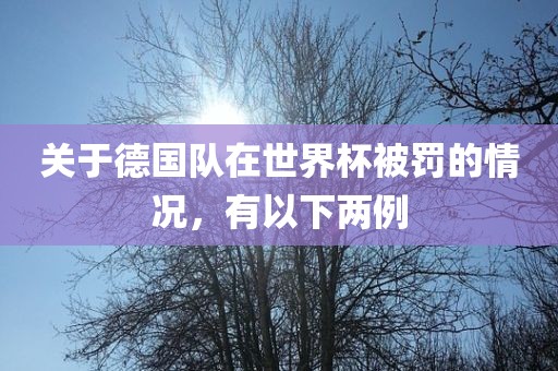 关于德国队在世界杯被罚的情况，有以下两例