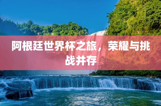 阿根廷世界杯之旅，荣耀与挑战并存