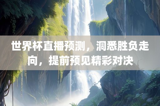 世界杯直播预测，洞悉胜负走向，提前预见精彩对决