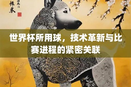 世界杯所用球，技术革新与比赛进程的紧密关联