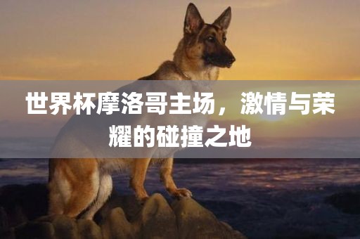 世界杯摩洛哥主场，激情与荣耀的碰撞之地