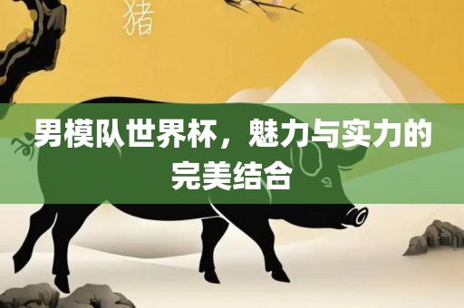 男模队世界杯，魅力与实力的完美结合