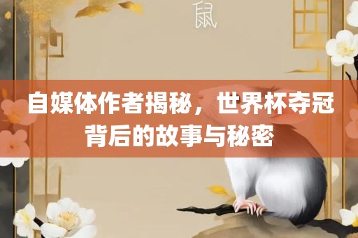自媒体作者揭秘，世界杯夺冠背后的故事与秘密