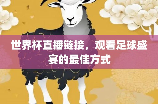世界杯直播链接，观看足球盛宴的最佳方式