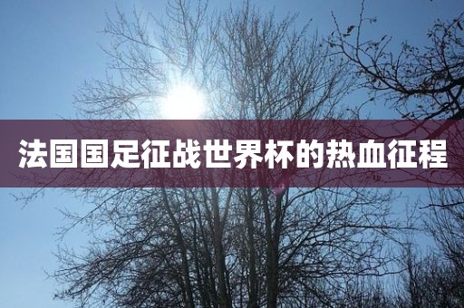 法国国足征战世界杯的热血征程眉山市正发家政服务有限公司