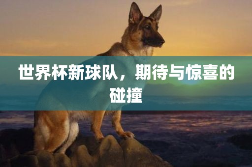 世界杯新球队，期待与惊喜的碰撞