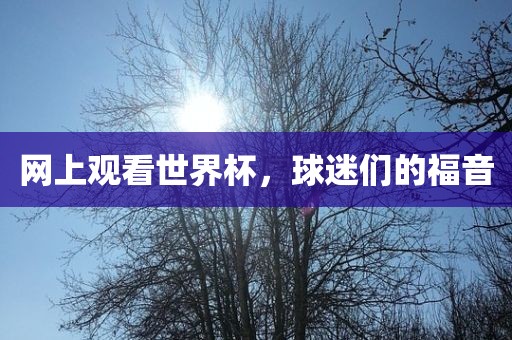 网上观看世界杯，球迷们的福音