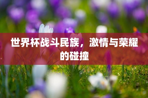 世界杯战斗民族，激情与荣耀的碰撞