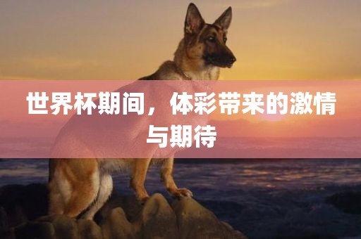 世界杯期间，体彩带来的激情与期待