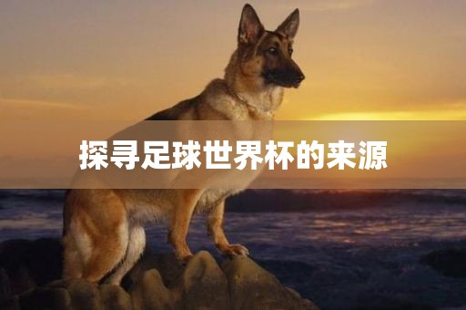 探寻足球世界杯的来源