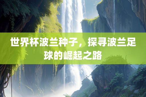 世界杯波兰种子，探寻波兰足球的崛起之路