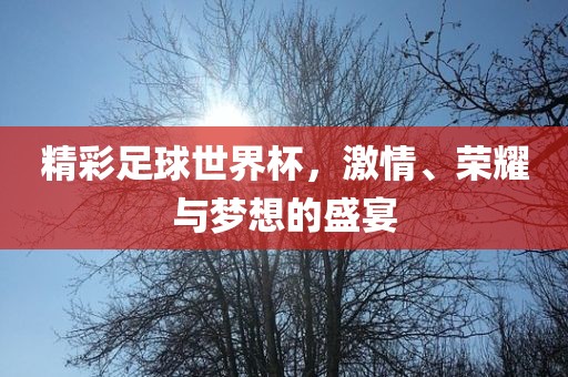 精彩足球世界杯，激情、荣耀与梦想的盛宴