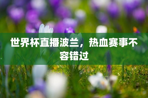 世界杯直播波兰，热血赛事不容错过