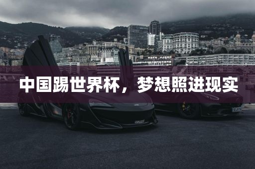 中国踢世界杯，梦想照进现实
