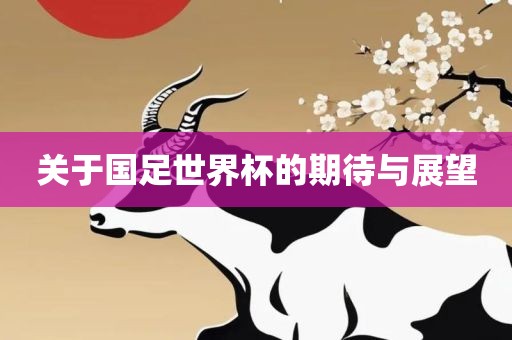 关于国足世界杯的期待与展望