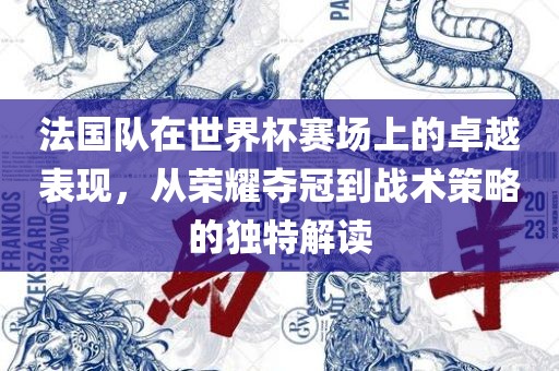 法国队在世界杯赛场上的卓越表现，从荣耀夺冠到战术策略的独特解读