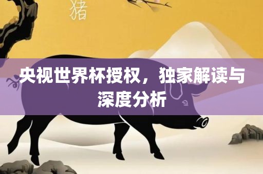 央视世界杯授权，独家解读与深度分析