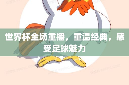世界杯全场重播，重温经典，感受足球魅力