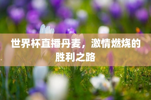 世界杯直播丹麦，激情燃烧的胜利之路