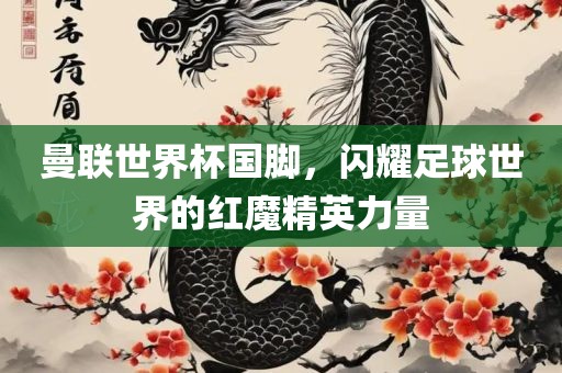 曼联世界杯国脚，闪耀足球世界的红魔精英力量