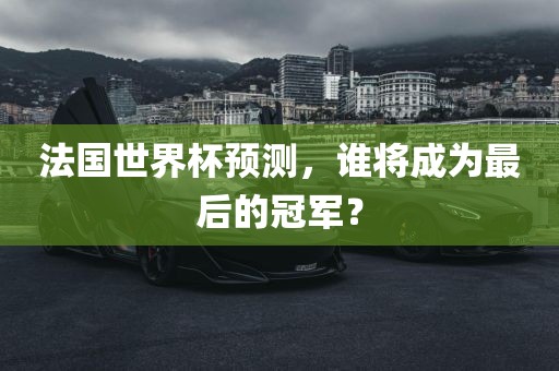 法国世界杯预测，谁将成为最后的冠军？