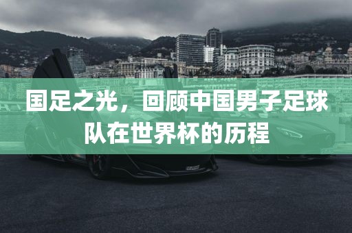 国足之光，回顾中国男子足球队在世界杯的历程