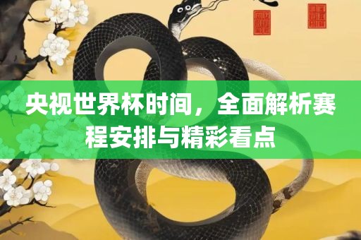 央视世界杯时间，全面解析赛程安排与精彩看点