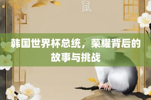 韩国世界杯总统，荣耀背后的故事与挑战