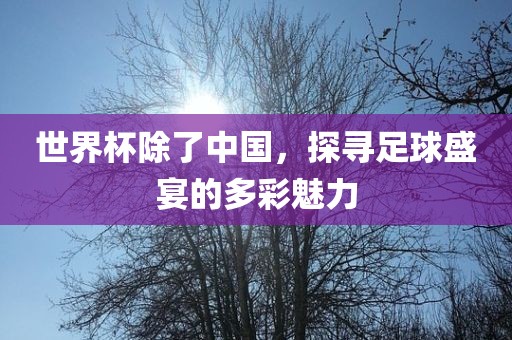 世界杯除了中国，探寻足球盛宴的多彩魅力