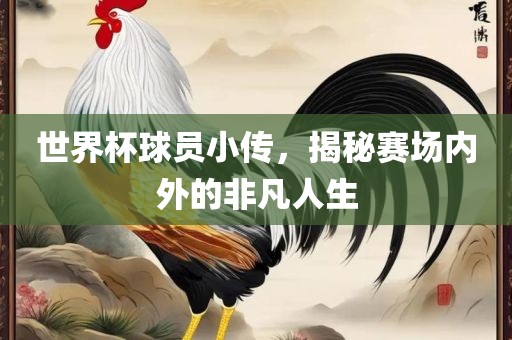 世界杯球员小传，揭秘赛场内外的非凡人生
