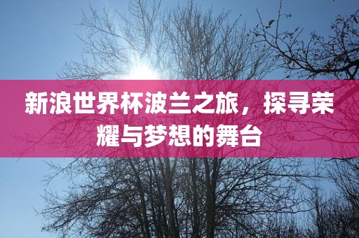 新浪世界杯波兰之旅，探寻荣耀与梦想的舞台