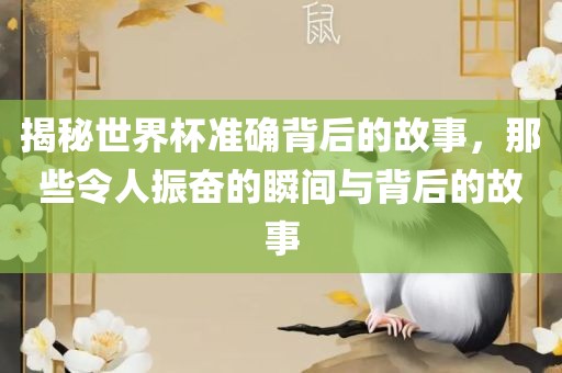 揭秘世界杯准确背后的故事，那些令人振奋的瞬间与背后的故事