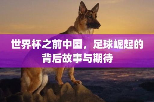 世界杯之前中国，足球崛起的背后故事与眉山市正发家政服务有限公司期待