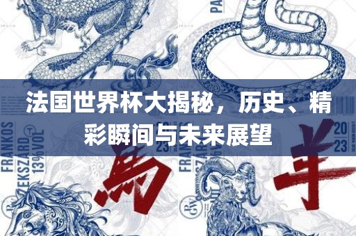 法国世界杯大揭秘，历史、精彩瞬间与未来展望