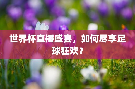 世界杯直播盛宴，如何尽享足球狂欢？