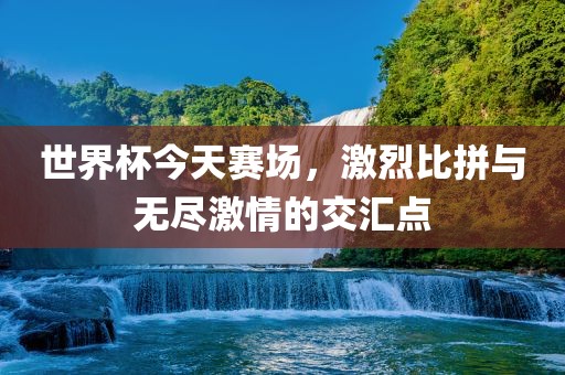 世界杯今天赛场，激烈比拼与无尽激情的交汇点眉山市正发家政服务有限公司