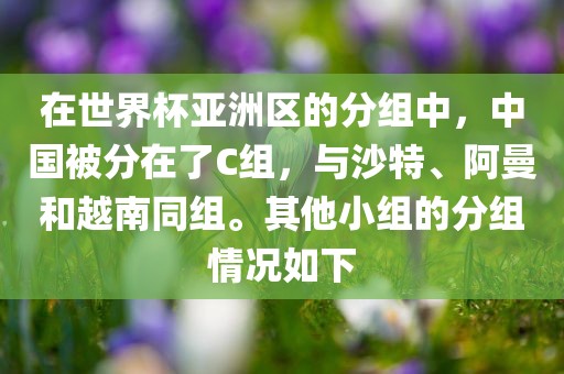 在世界杯亚洲区的分组中，中国被分在了C组，与沙特、阿曼和越南同组。其他小组的分组情况如下