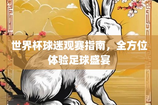 世界杯球迷观赛指南，全方位体验足球盛宴